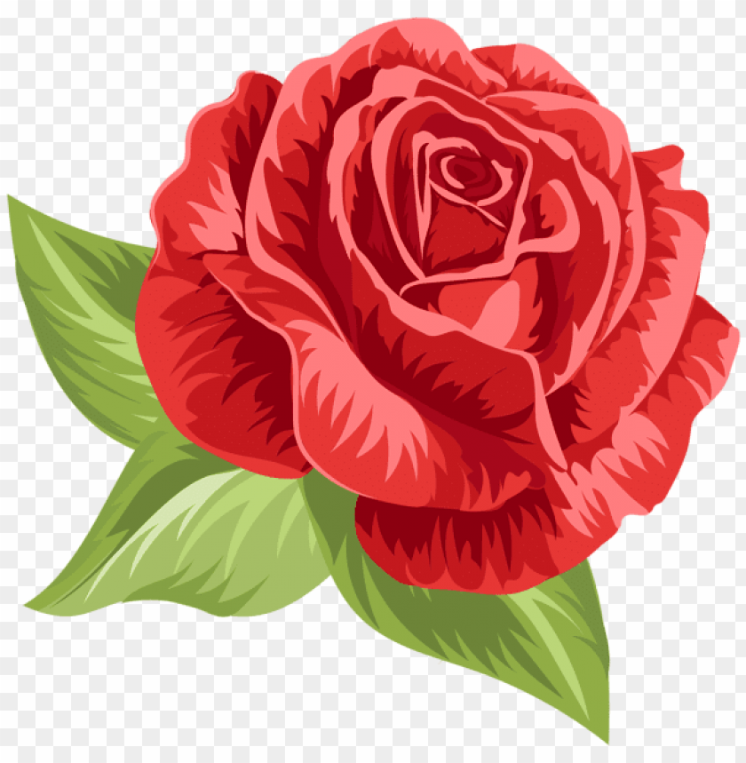 red vintage rose png