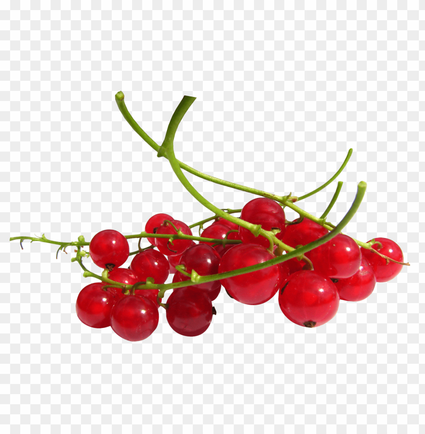 Berries, Red Currants, Nutrition, Health Benefits, Recipes