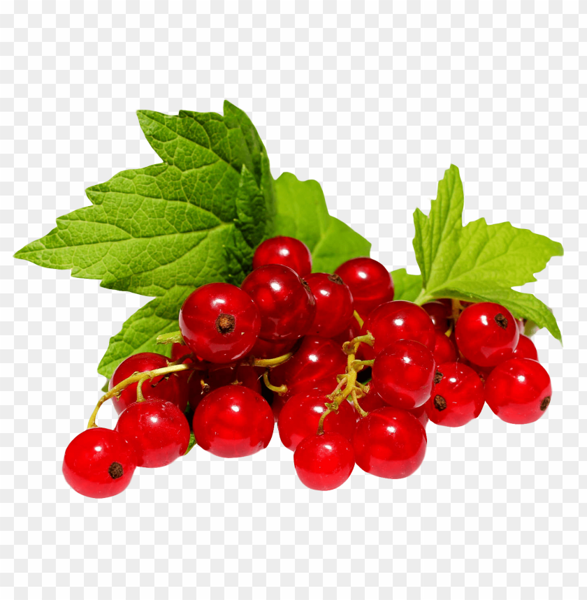 fruits, berries, red currants, healthy snacks, natural sweeteners