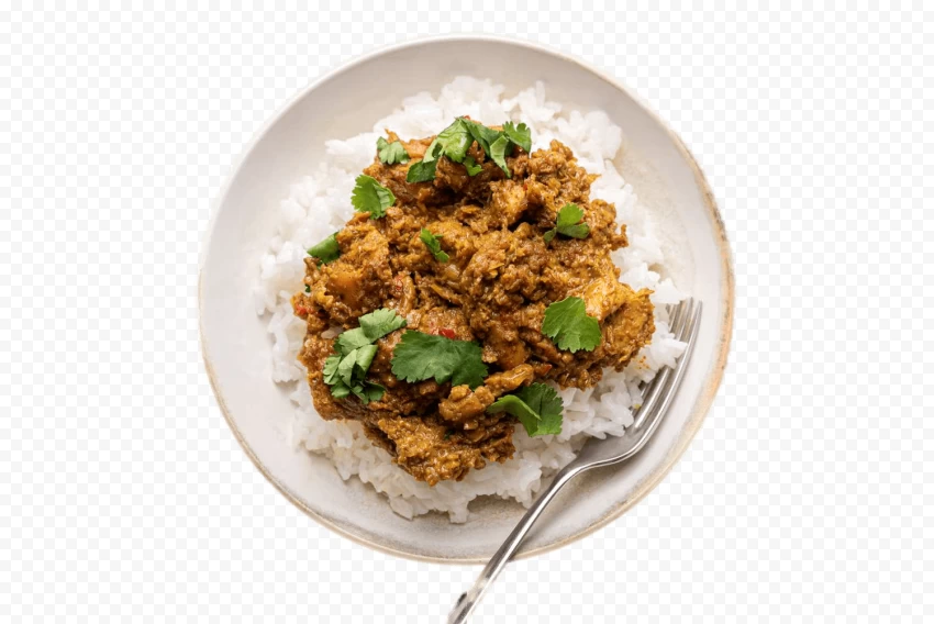 chicken curry, rice dish, Indian cuisine, coconut milk, cilantro garnish