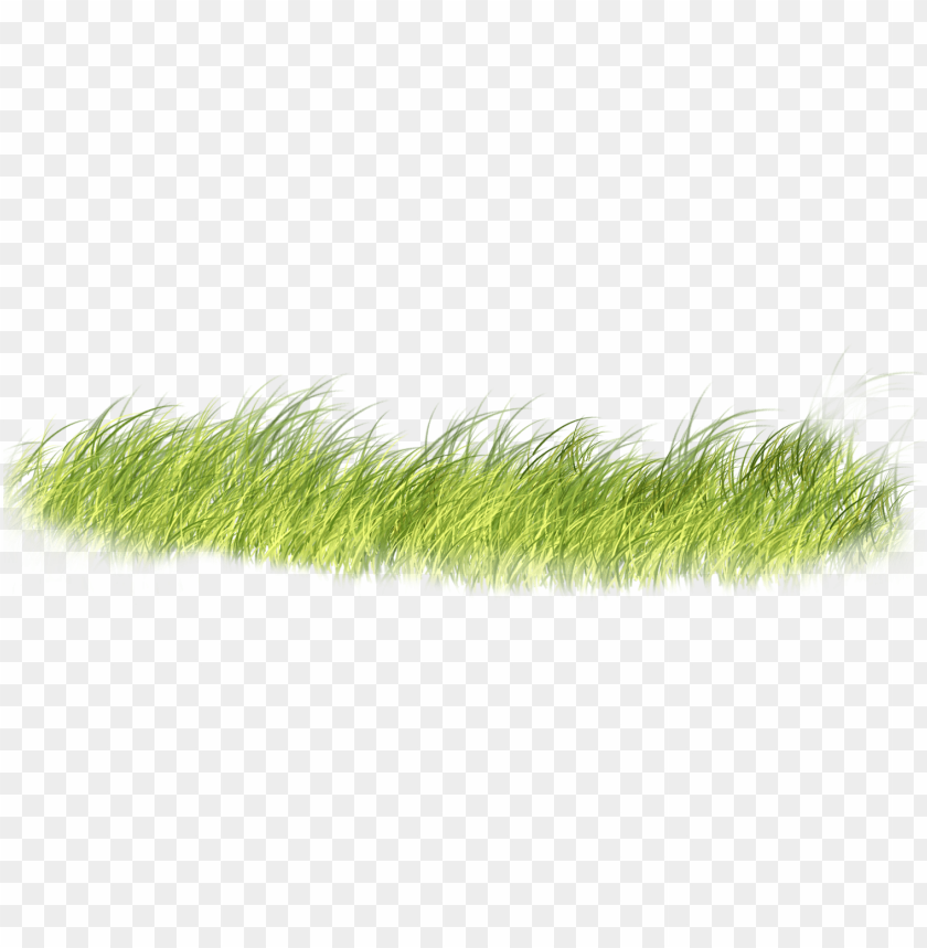 nature, photo, plant, adobe, lawn, graphic design, background