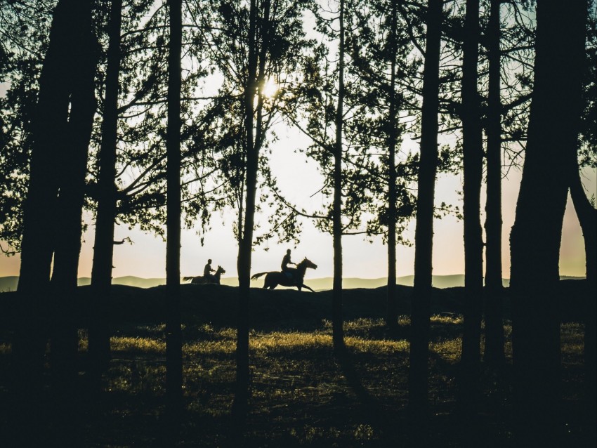 Riders Silhouettes Forest Sunset Landscape Trees Horses Background