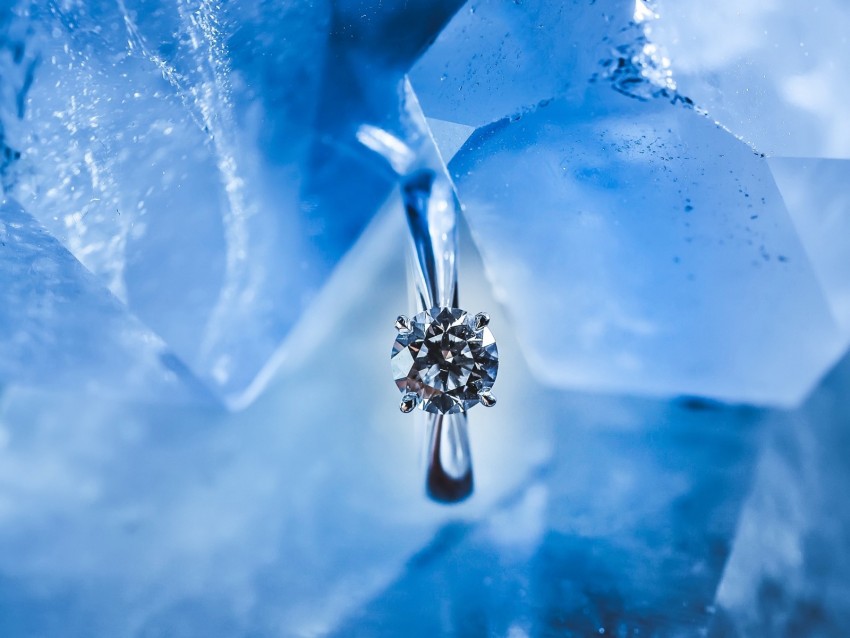 ring, ice, decoration, jewel, shine, macro