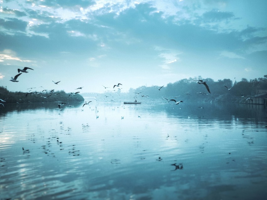 River Birds Flock Fly Sky Boat Reflection Background