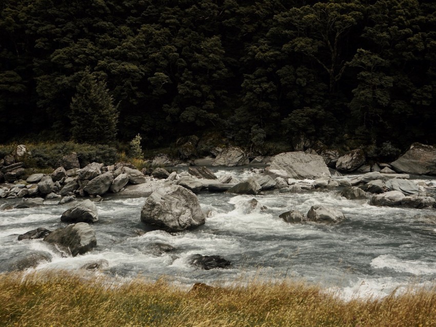 river, current, stones, trees, grass