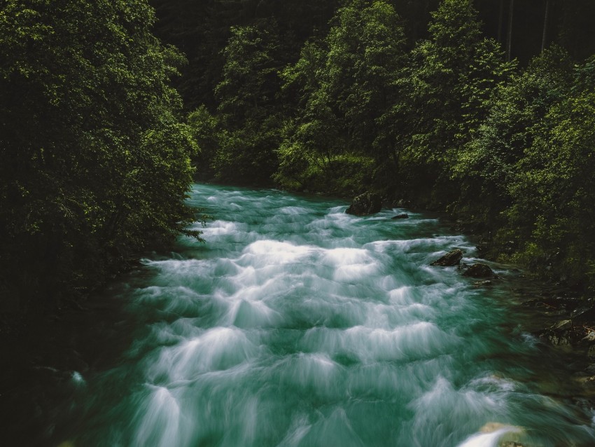 river, flow, forest, trees