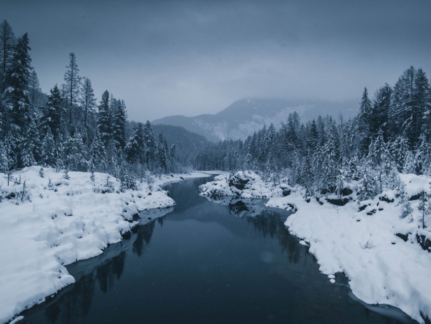 river, fog, snow, winter, trees