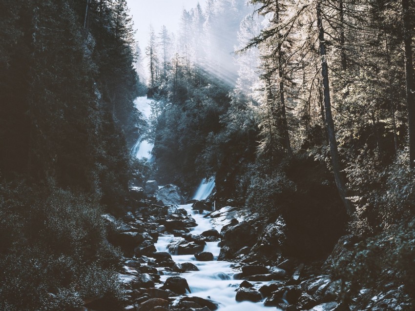 river, forest, mountains, sunlight, landscape, morning