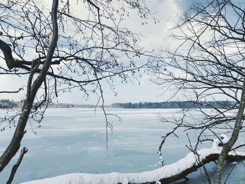 river, ice, snow, branches, winter, trees