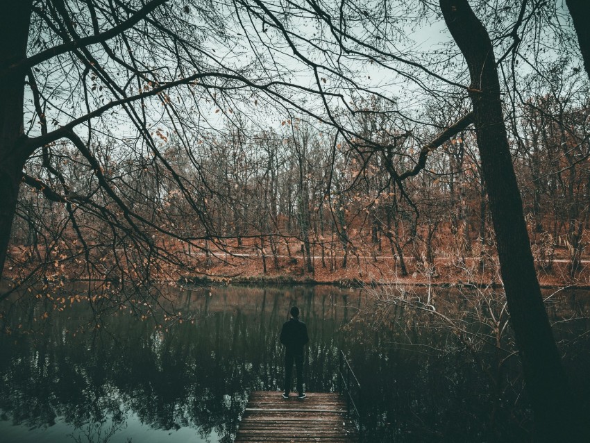 river, loneliness, solitude, autumn, trees, water, pond