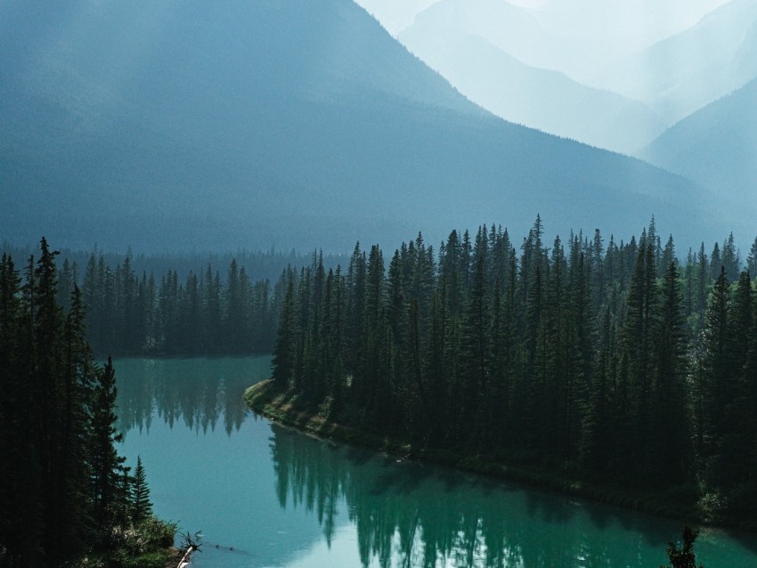 river, mountains, forest, fog, landscape