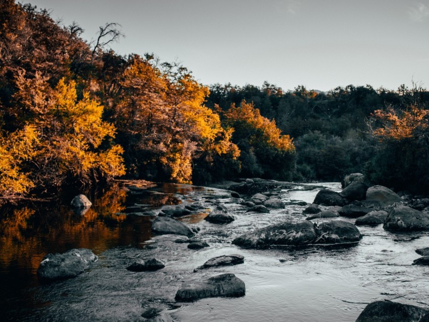 River Stones Trees Water Stream Background