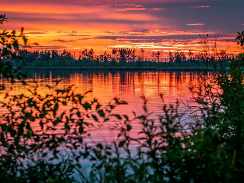 River Sunset Horizon Branches Leaves Blur Background