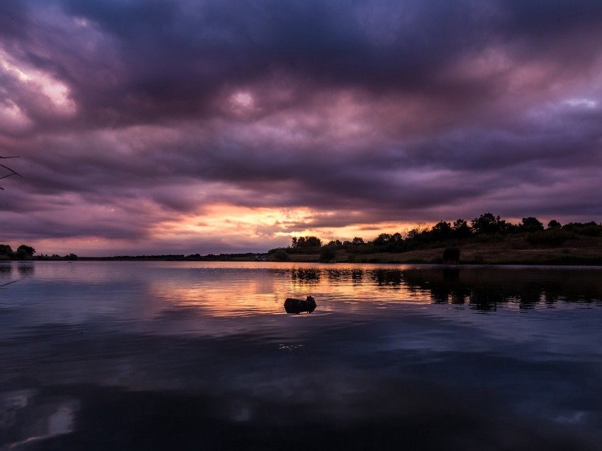 River Sunset Trees Clouds Twilight Background