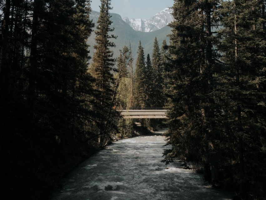 River Trees Bridge Mountains Nature Background