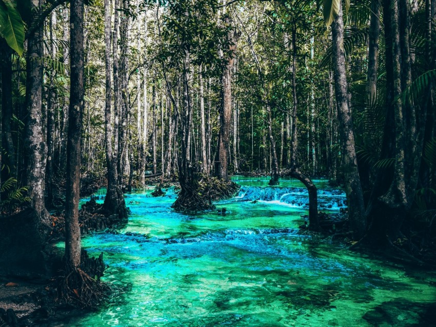 river, trees, flow, branches