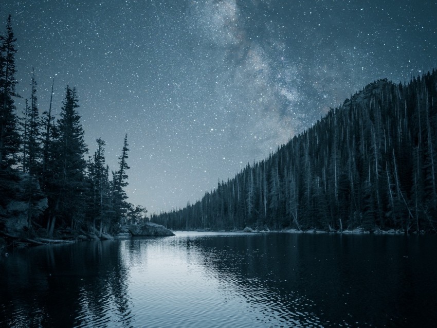 river, trees, starry sky, night, landscape