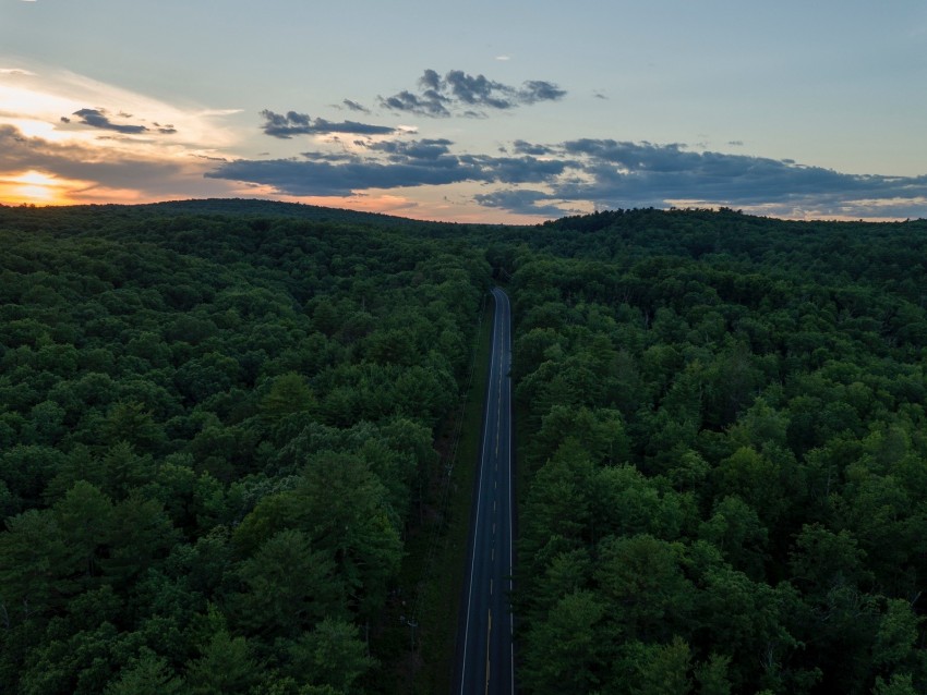 Road Aerial View Forest Horizon Sunset Background