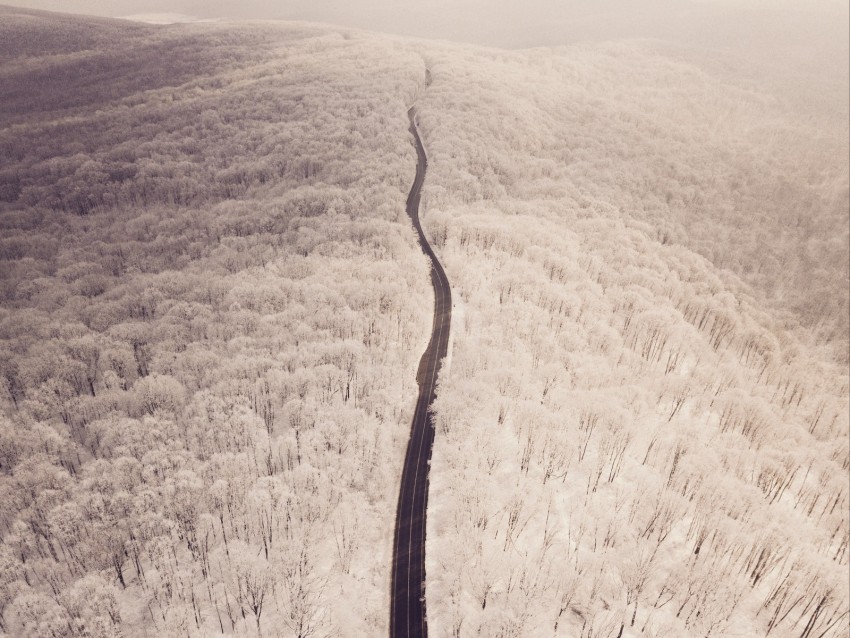 winter landscape, snow-covered road, scenic drive, forest path, aerial view