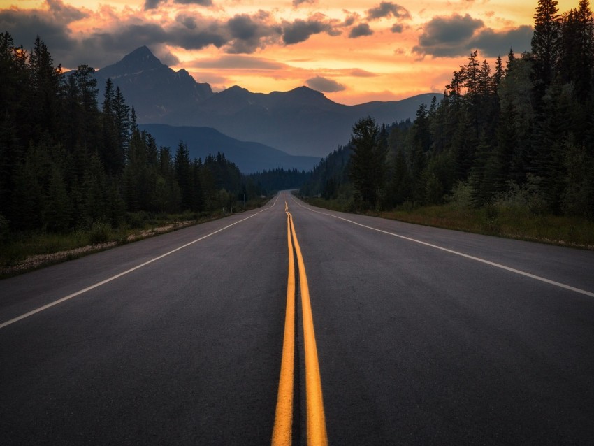 Road Asphalt Marking Mountains Trees Turn Jasper Canada Background