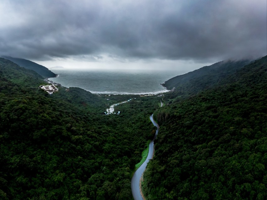 Road Fog Aerial View Forest Sky Sea Background