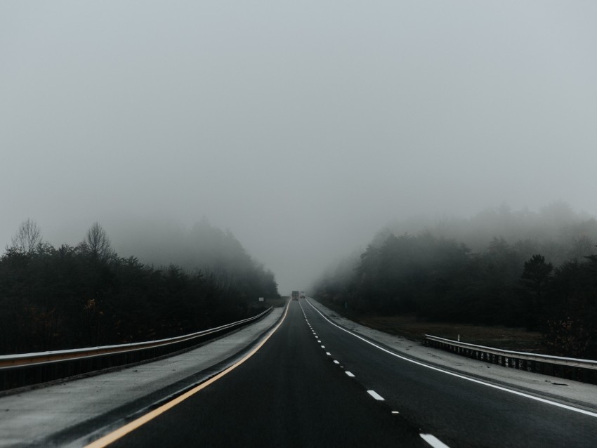 road, fog, asphalt, marking, movement