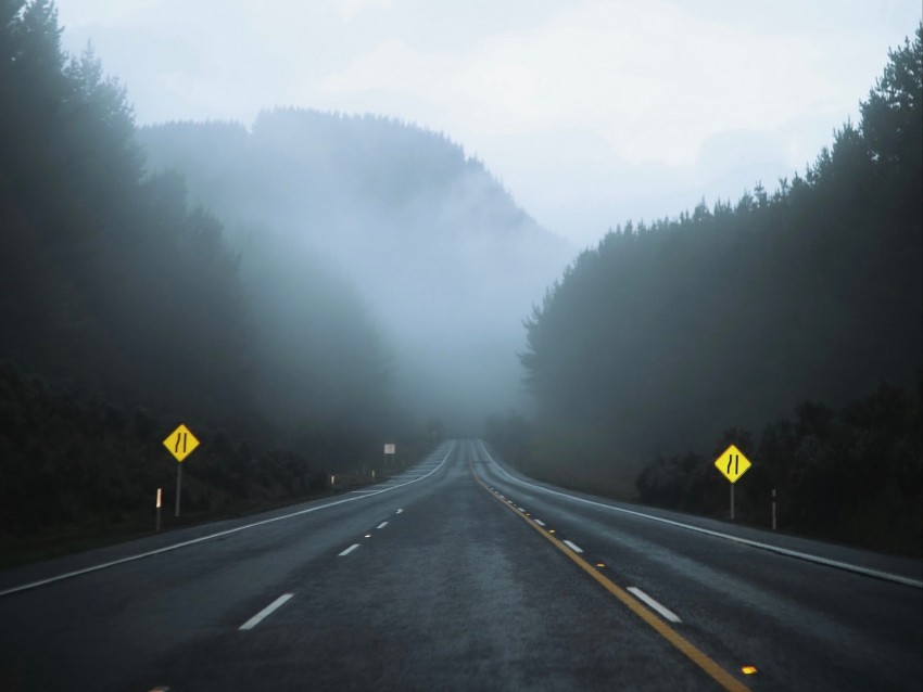 road, fog, asphalt, movement