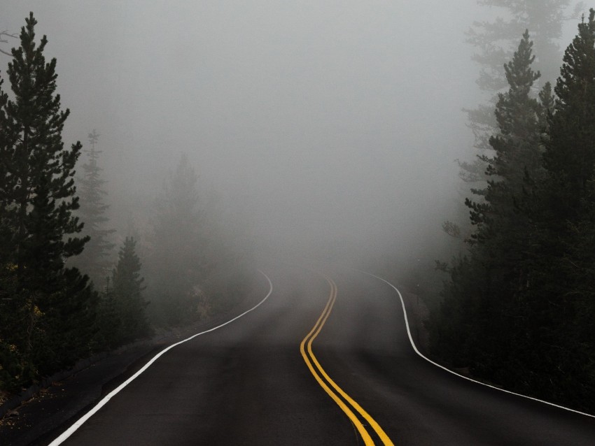 road, fog, marking, asphalt, turn, trees