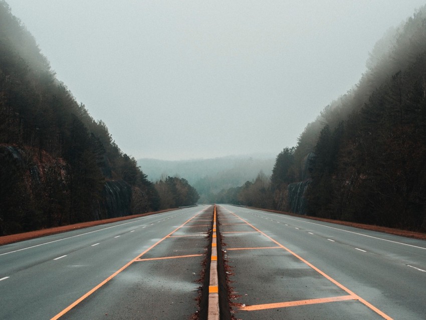 Road Fog Marking Trees Lines Background