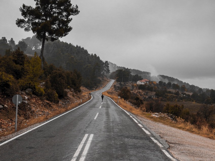 Road Fog Silhouette Loneliness Tree Background