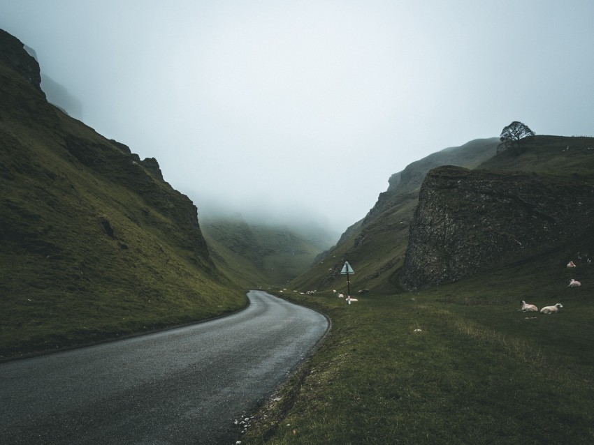 road, fog, turn, mountains