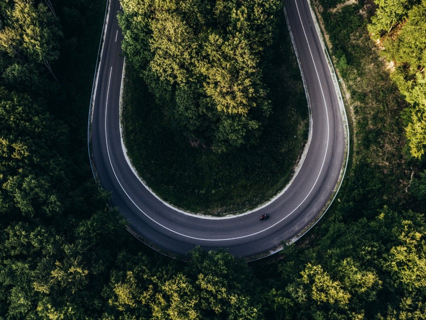 road, forest, aerial view, turn, winding