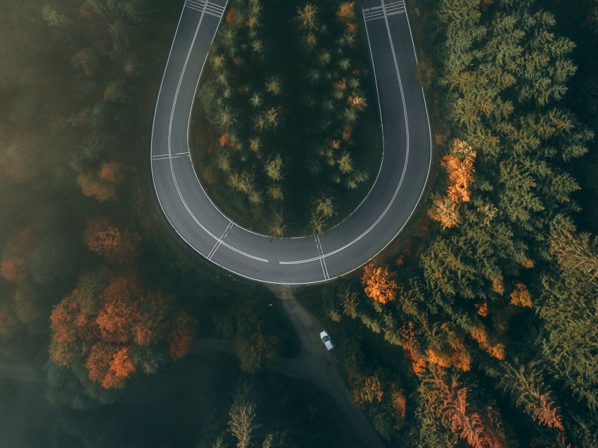 Road Forest Aerial View Winding Turn Background