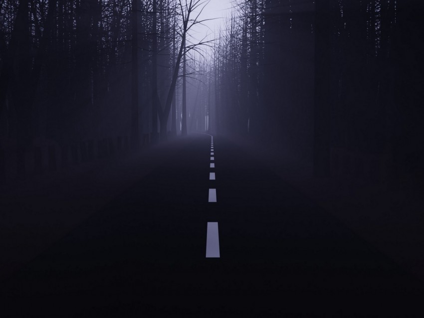 Road Forest Fog Mist Trees Dark Background