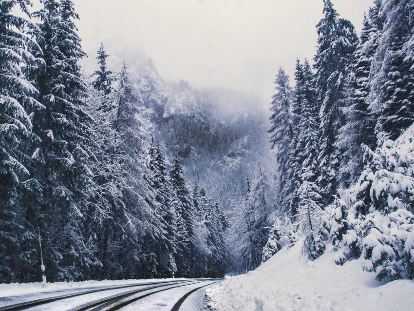 Road Forest Turn Mountains Snowy Winter Trees Background