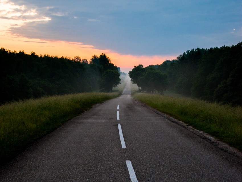 road, markings, fog, dawn