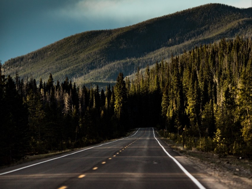 road, mountain, forest, direction, marking, sky