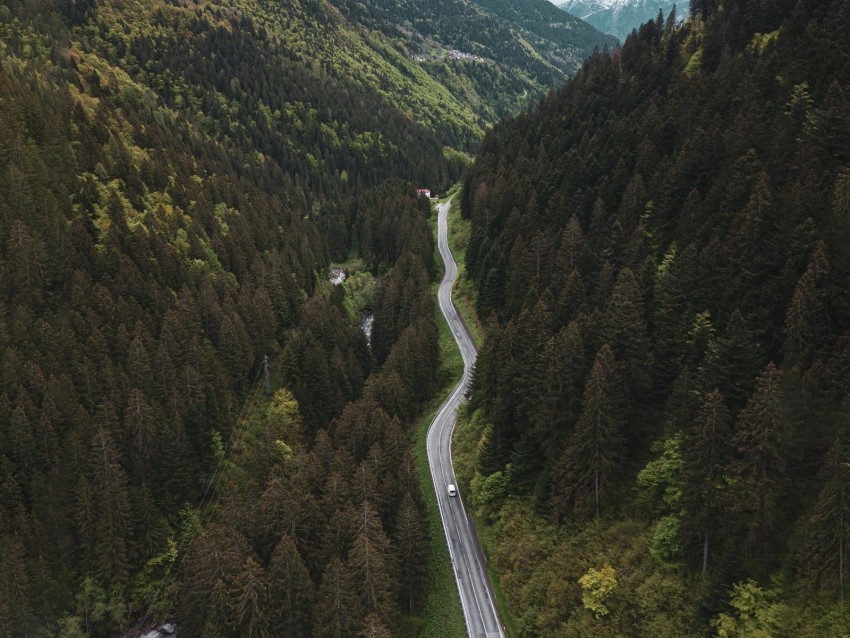 Road Mountains Aerial View Forest Trees Background