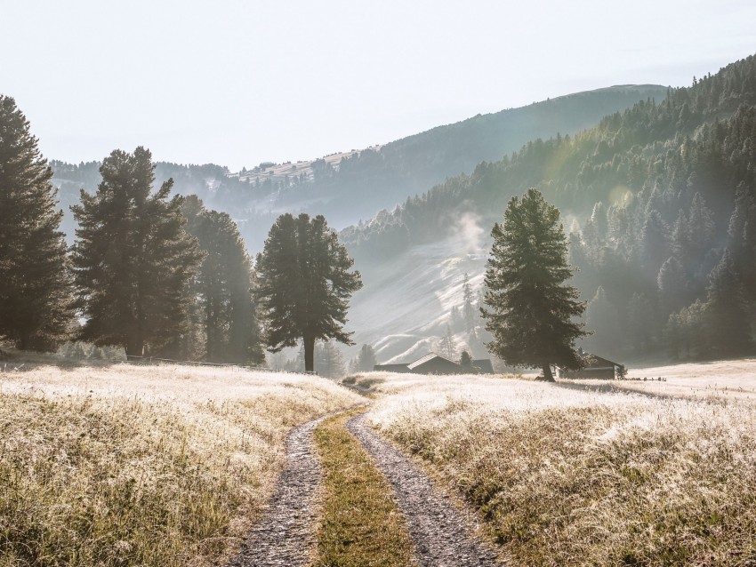 road, mountains, fog, trees, landscape