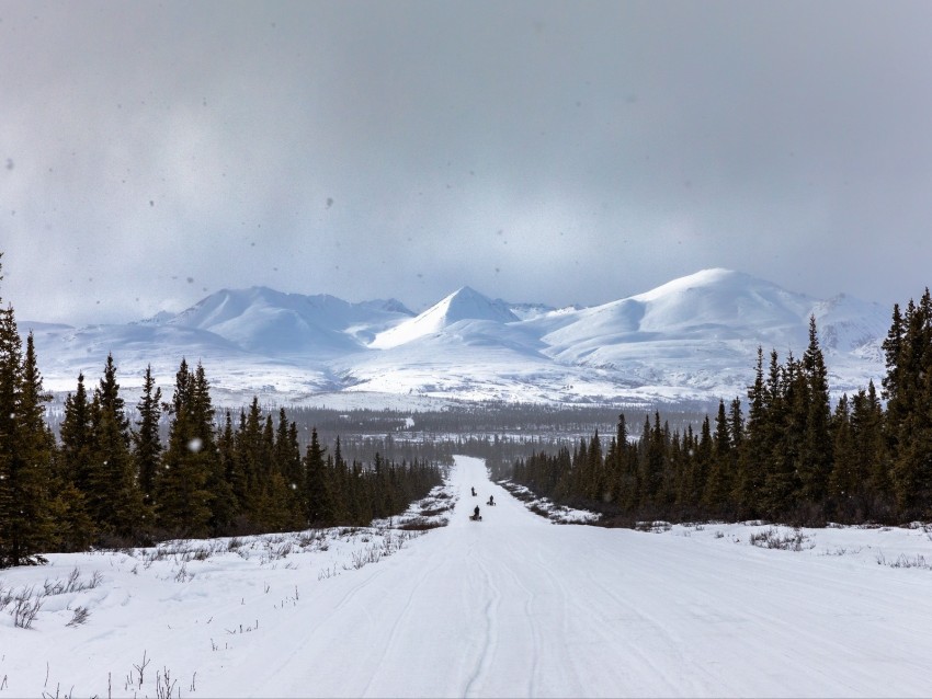 Road Mountains Snow Trees Winter Landscape Background