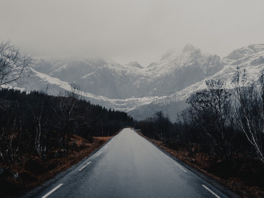 road, mountains, trees, asphalt, wet