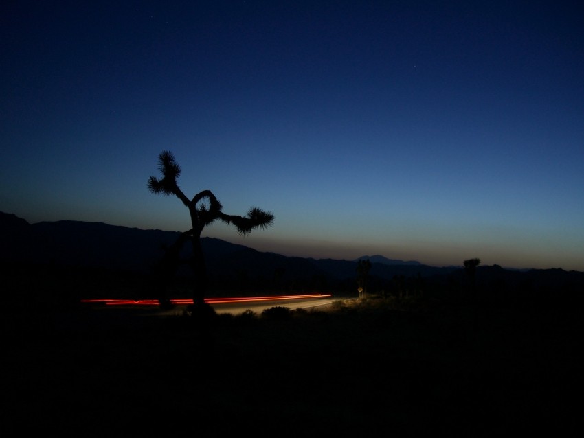 road, roadside, twilight, dark, lights, long exposure