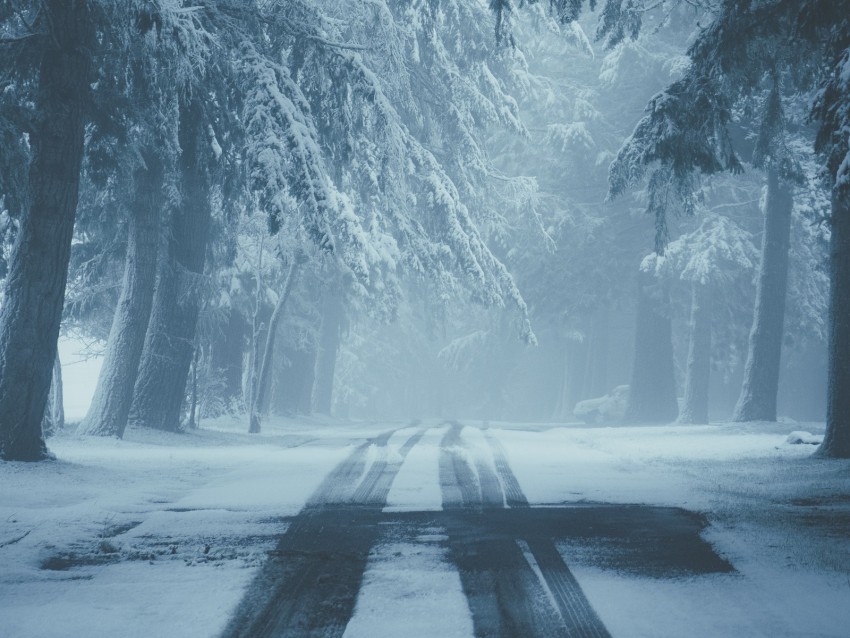 road, snow, fog, winter, trees, traces