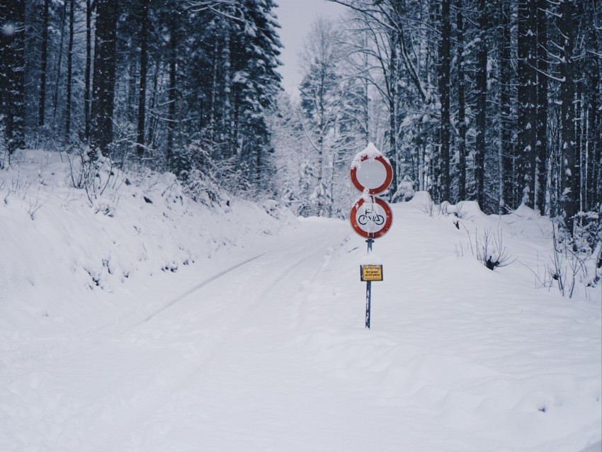 Road Snow Winter Pointer Forest Background