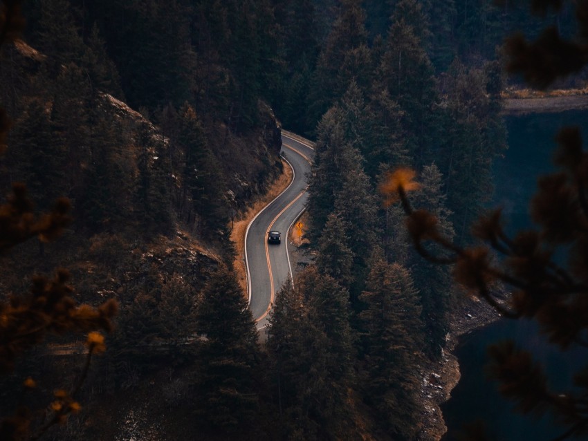 Road Trees River Aerial View Background