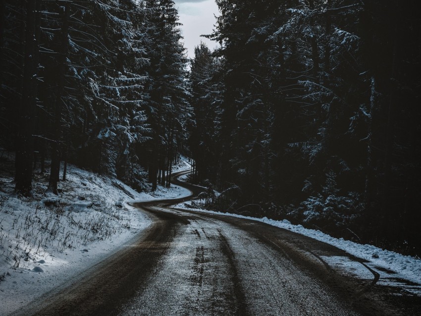 Road Trees Snow Winter Winding Background