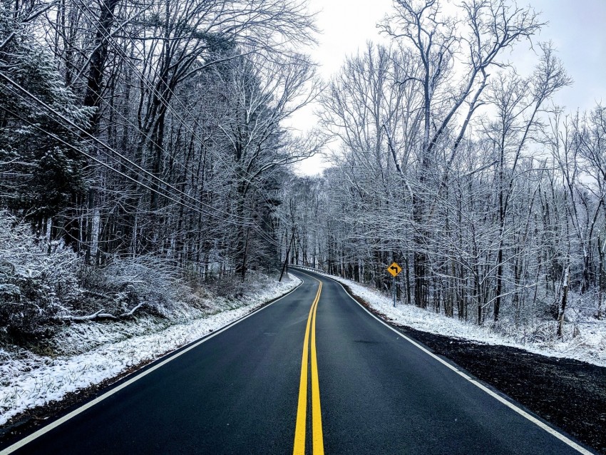 Road Trees Winter Marking Snow Asphalt Background