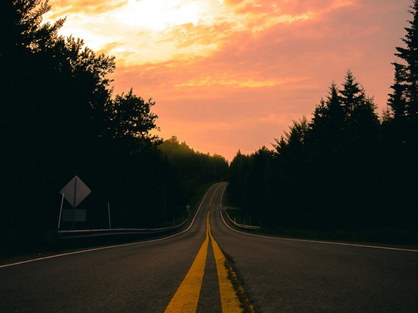 Road Turn Marking Forest Sunset Background