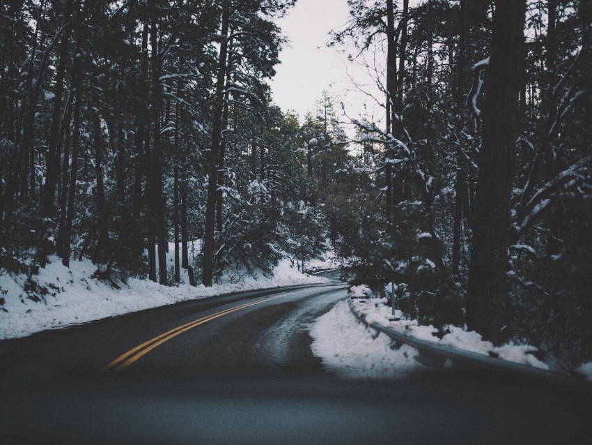 Road Turn Trees Snow Asphalt Background