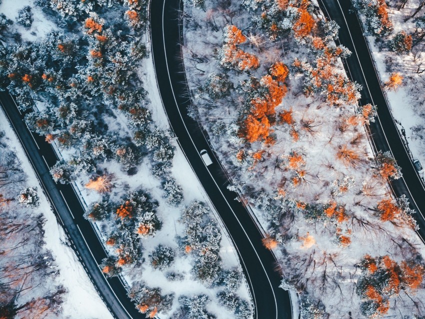 Road Winding Trees Snow Panorama Aerial View Zigzag Background